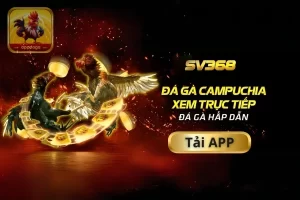 SV368