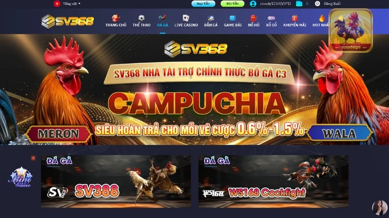 App đá gà SV368 mang đến trải nghiệm thuận tiện