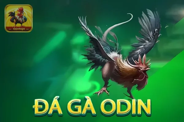 Cùng Appdaga khám phá tất tần tật về sảnh Đá Gà ODIN